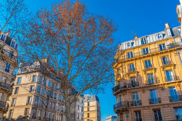 Paris, beautiful building, typical parisian facade in the Marais, beautiful neighborhood 