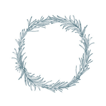 Circular decoration or wreath made of rosemary hand drawn with contour lines on white background