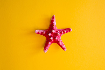 Fototapeta na wymiar Red starfish yellow background in the center of the frame. Flat lay on the theme of vacation and summer vacation. Top view and copy space.