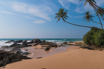 Untouched tropical beach with coconut palms. Tropical vacation  in Sri Lanka. Hikkaduwa. Ambalangoda.