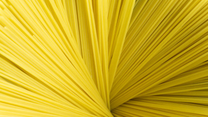 Yellow Spaghetti line, Ingredients for cooking italian pasta,Blank for design, food concept..
