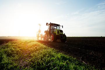 Fototapeta premium Farmer seeding crops at field. - Image