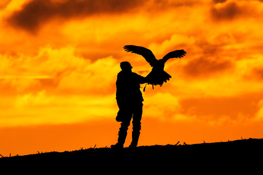 Silhouette of falconer with eagle. Hunting in the nature.