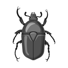 Vector illustration of insect and fly sign. Collection of insect and element stock symbol for web.