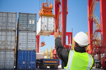 transport worker,manager freight forwarding at container terminal working