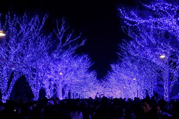 Fototapeta na wymiar A blue light illumination at the Ao no Doukutsu(Blue cave), Shibuya, Tokyo, Japan