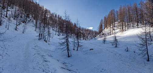 Panoramic view of the sunny snow-covered landscape of the Alpe Devero in Piedmont, Italy.