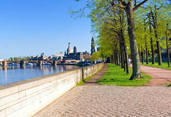 Naklejka premium Riverbank near Elbe river in Dresden