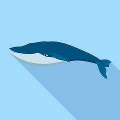 Obraz premium Fin whale icon. Flat illustration of fin whale vector icon for web design