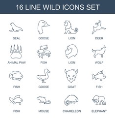 16 wild icons