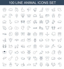 animal icons