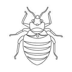 Isolated object of insect and fly icon. Set of insect and element stock symbol for web.