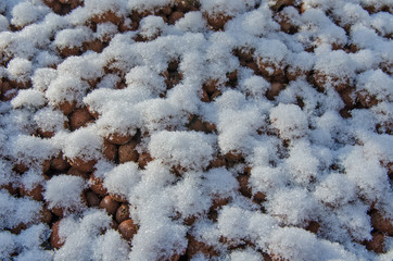 pebbles and snow