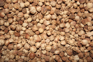 Dried Herbs,Amomum krervanh Pierre,Siam Cardamom, Best Cardamom, Clustered Cardamom, Camphor Seed,Zingiberaceae