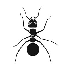 Vector illustration of insect and fly symbol. Collection of insect and element vector icon for stock.