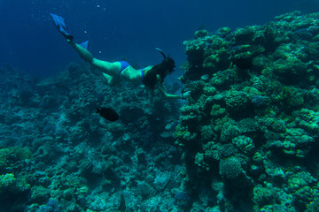Fototapeta na wymiar Young girl at snorkeling with fish in the tropical water. Traveling, active lifestyle concept.