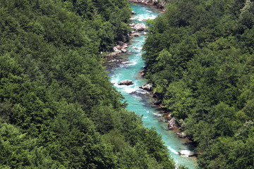 Tara river landscape Montenegro spring season