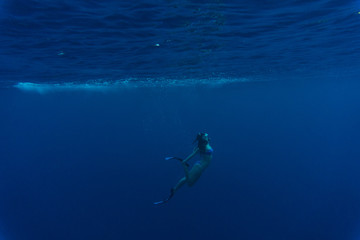 Active young female dancing underwater, enjoying summer vacation in blue transparent water, dive to the bottom of sea. Enjoyment and freedom concept