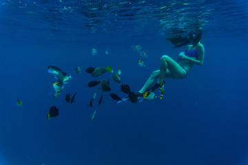 Young woman snorkeling masks dive deep underwater feeding tropical fishes in coral reef sea pool. Travel lifestyle, outdoor water sport adventure, swimming lessons on summer beach vacation