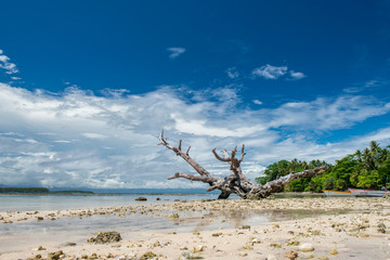 Beach by duke of york islands