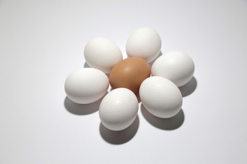 Egg isolated on white background cutout