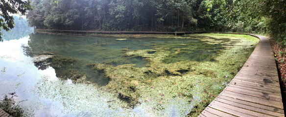 Walking trail along the lake