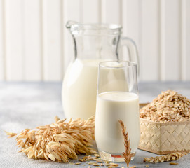 The concept of a vegetarian diet. Oat milk in the glass with jug of oat milk and oat and oat ears.