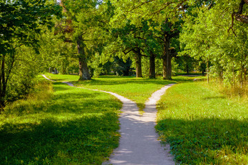 The wide pedestrian track in the park is divided into two, dispersing in different directions