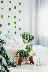 Green plants in pots on wooden bench next to white candles in fashionable bedroom interior