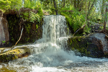 Fototapeta na wymiar Small waterfall in a green forest in Sweden