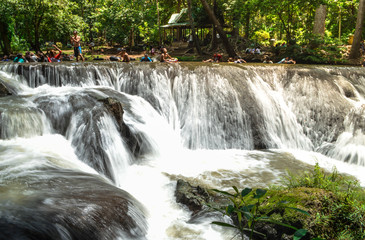 Fototapeta premium waterfall in forest
