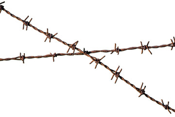 barbed wire isolated