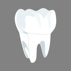 White tooth 3D render. Dental, medicine and health concept design