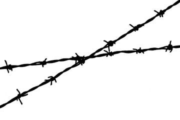 Fototapeta na wymiar barbed wire isolated