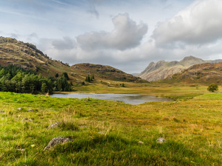Fototapeta premium Langdale Pikes and Blea Tarn in Lake District, UK