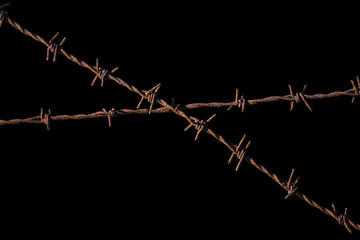 barbed wire isolated