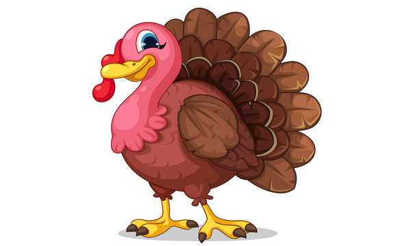 Beautiful turkey cartoon vector illustration