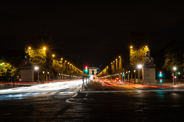 Fototapeta na wymiar Les Champs-Élysées