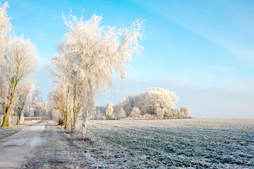 Winterlandschaft