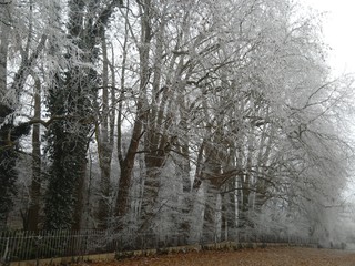 campagne sous la neige