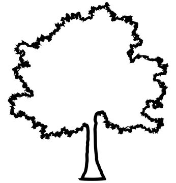 Tree profile silhouette isolated - black outlined detailed - vector