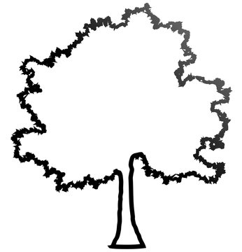 Tree profile silhouette isolated - black outlined gradient detailed - vector