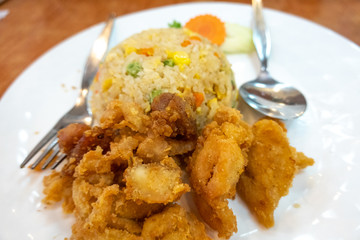 Chicken fries rice with close up view