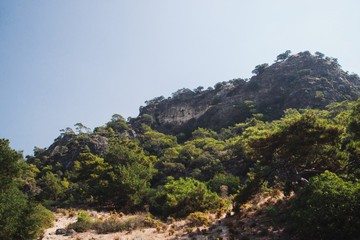 View of an old mountain covered with green trees in a bright sunny day