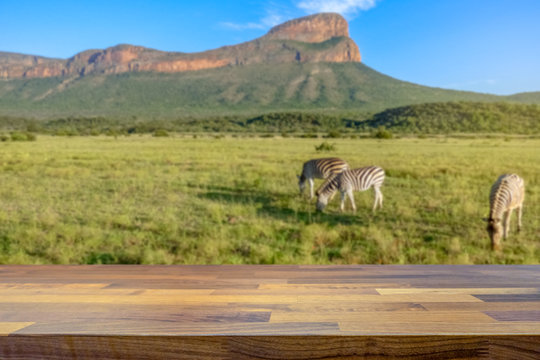 Empty table top for product display montage. Safari in South Africa with zebras blurred in the background.