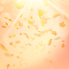 Fototapeta na wymiar Autumnal foliage fall and poplar leaf flying in wind motion blur. EPS 10