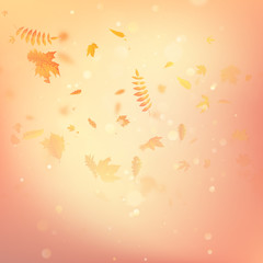 Autumn background with leaves. Back to school template. EPS 10
