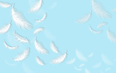 Feathers background Vector realistic. White feathers on blue card templates