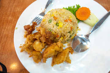 Chicken fries rice with close up view