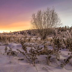 Night sketches / Ночные зарисовки